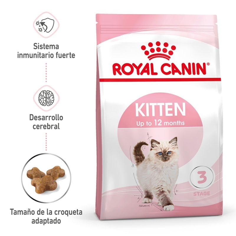 Royal Canin Kitten pienso para gatos